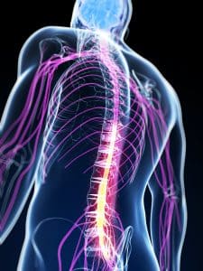 Somatic and Autonomic Nerve Damage Due to Personal Injuries